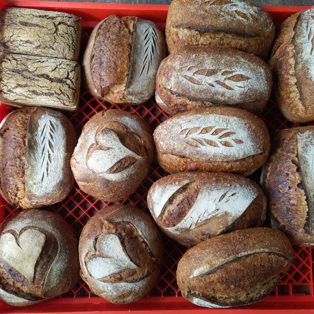 GLUTEN FREE SOURDOUGH (Wednesday pick-up)